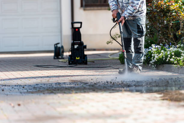 Best Seasonal Cleaning Services in Nogales, AZ